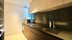 Amber Park (D15), Condominium #487573561